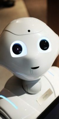 pexels-alex-knight-2599244